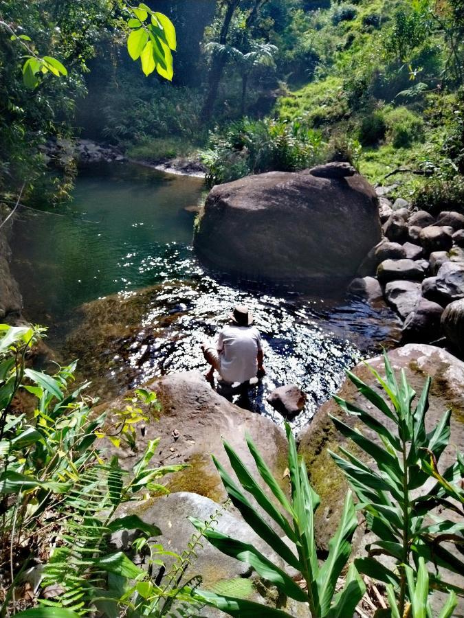 Hospedaje Bosque Del Rio Monteverde Kültér fotó